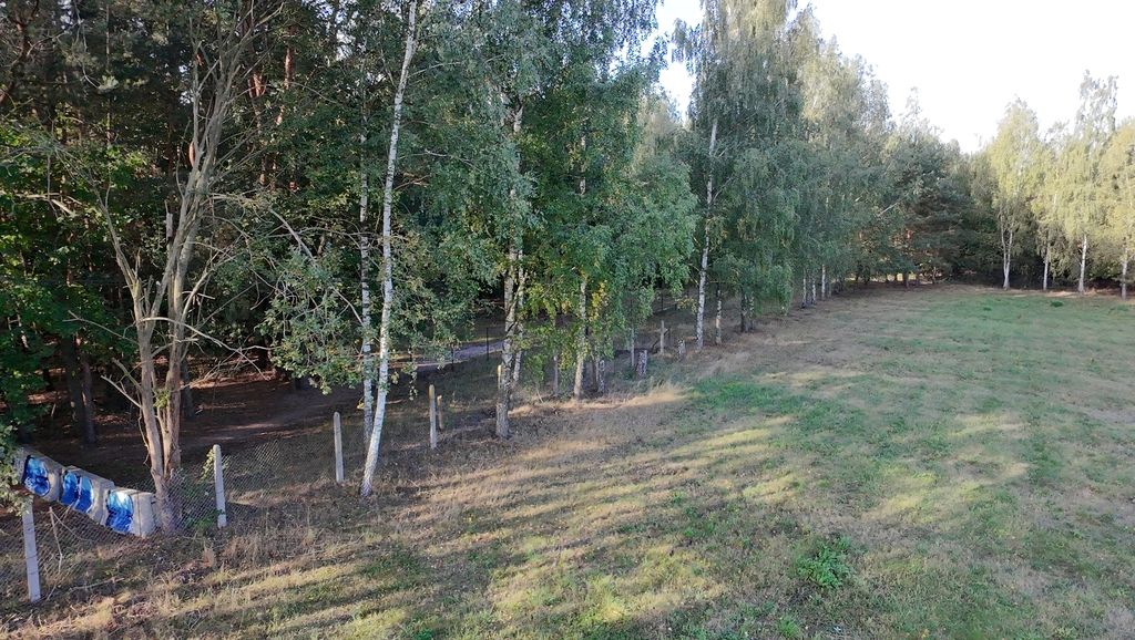 Działka budowlana Korzeniówka. Zdjęcie 7