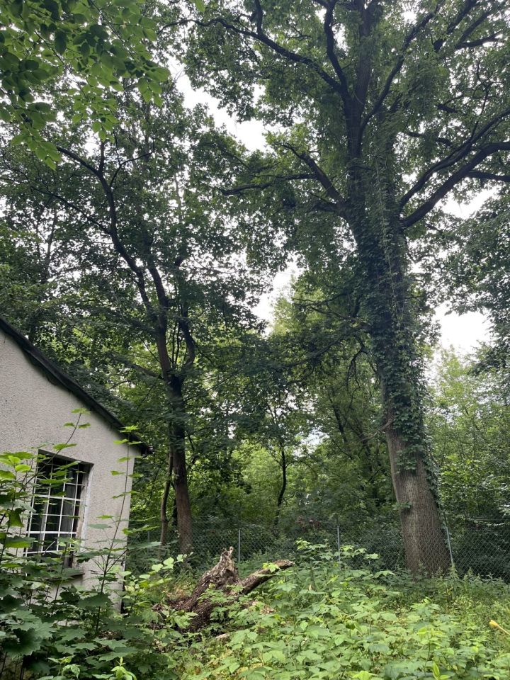 Działka budowlana Otwock, ul. Górna. Zdjęcie 4