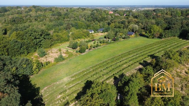 Działka siedliskowa Kazimierz Dolny, Góry. Zdjęcie 5