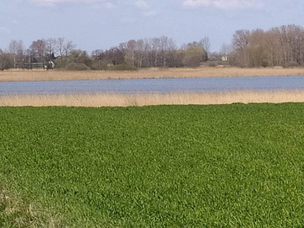 Działka budowlana Przedecz. Zdjęcie 7