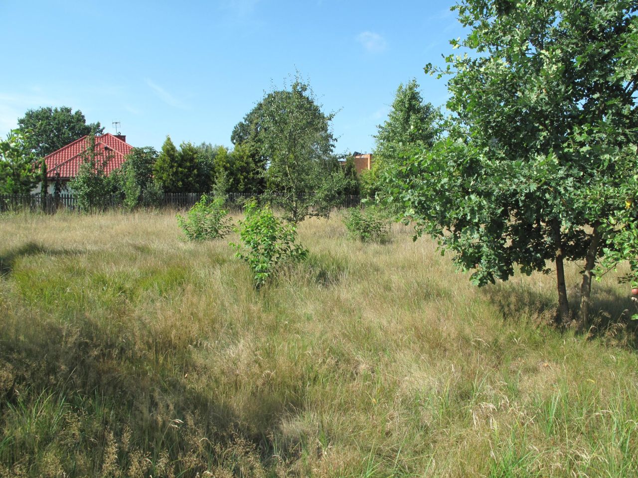 Działka budowlana Udrzyn. Zdjęcie 4