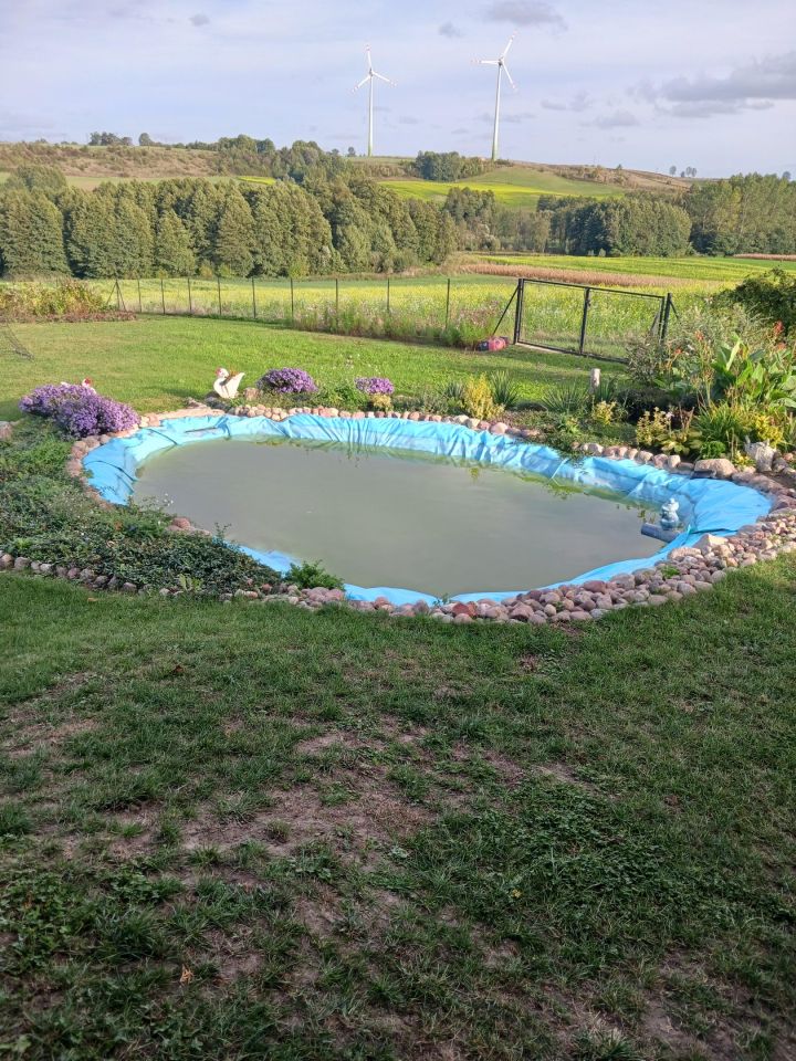 dom wolnostojący, 4 pokoje Węgiersk. Zdjęcie 5