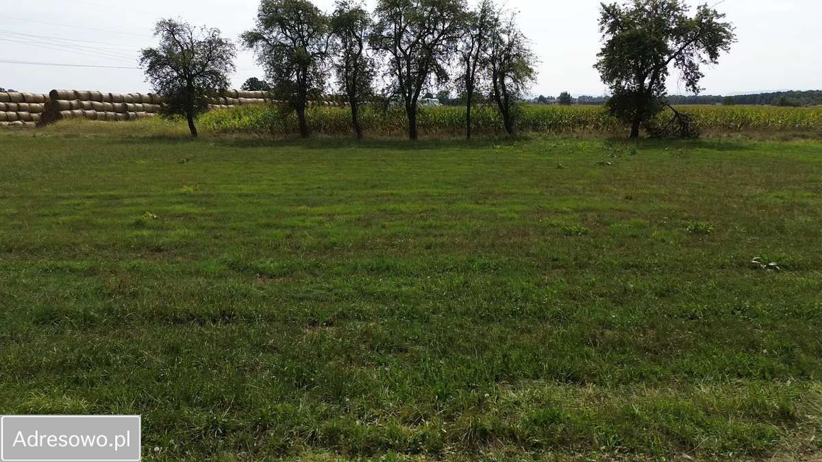 Działka budowlana Lędziny Górki, ul. Leśna