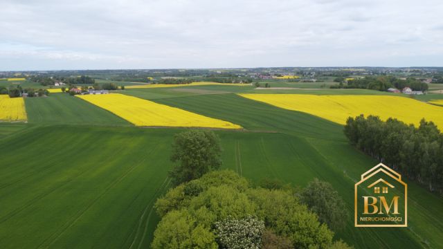 Działka siedliskowa Płouszowice-Kolonia. Zdjęcie 7