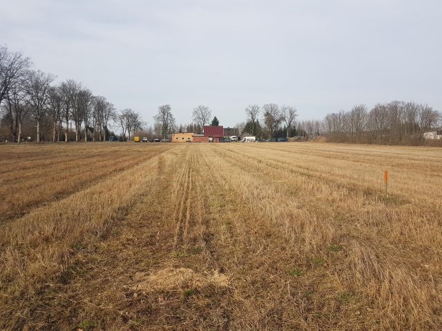 Działka budowlana Buczek. Zdjęcie 8