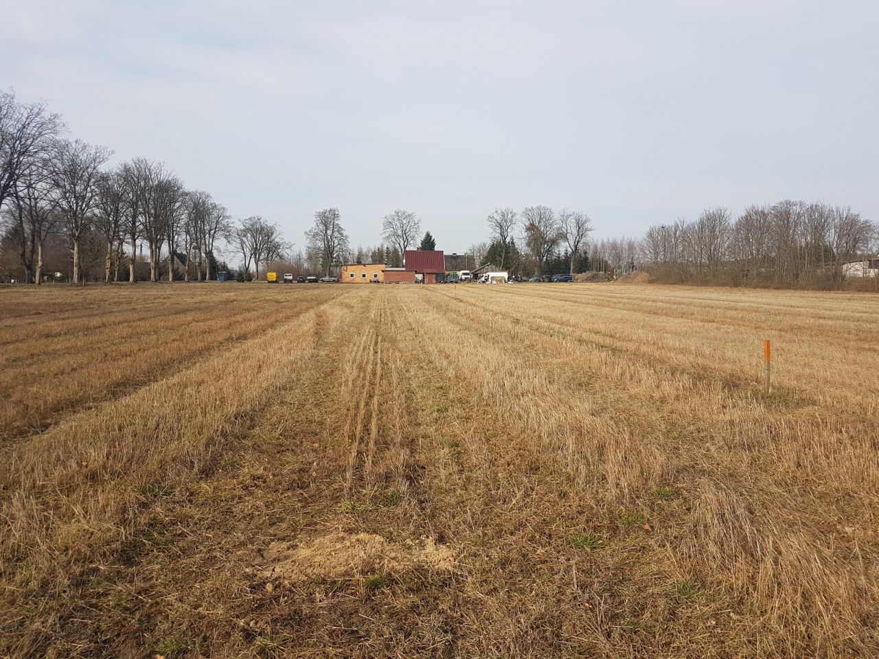Działka budowlana Buczek. Zdjęcie 8