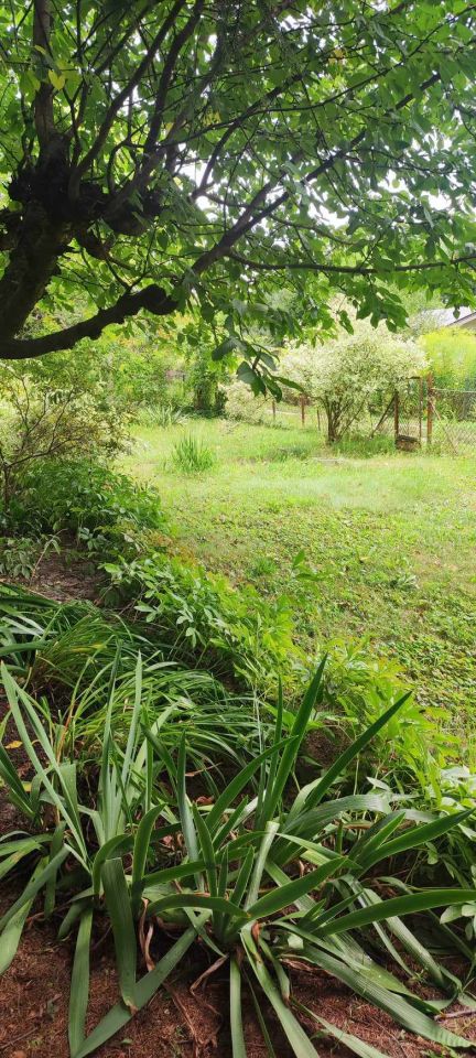 Działka rod Warszawa Mokotów, ul. Racławicka. Zdjęcie 12