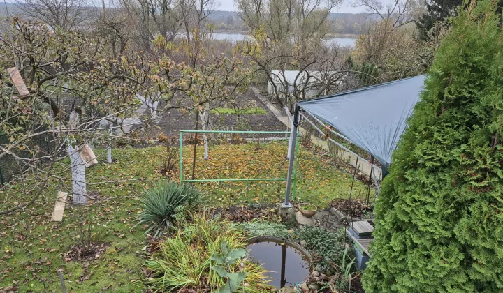 Działka rod Włocławek Zazamcze, ul. Toruńska