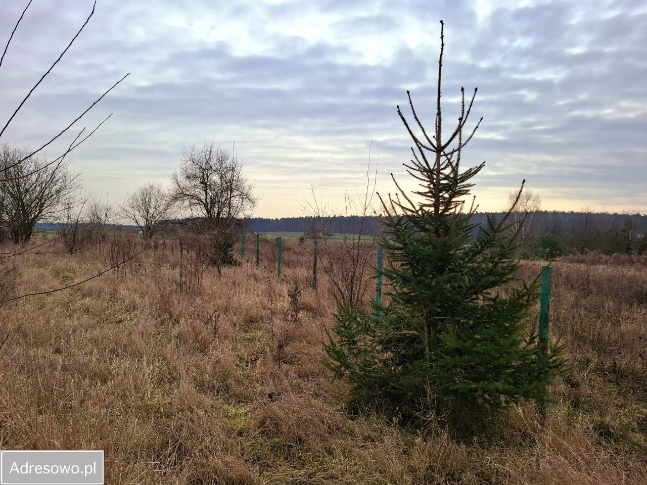 Działka budowlana Pniewy, ul. Wroniecka. Zdjęcie 11
