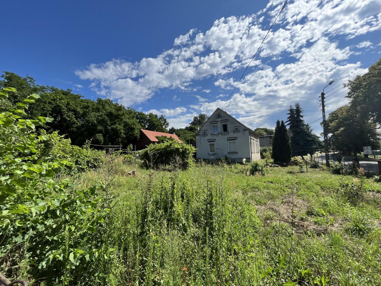 gospodarstwo, 5 pokoi Krosno Odrzańskie, ul. Wiejska. Zdjęcie 4