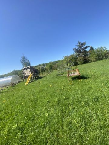 Działka rekreacyjna Świdnica. Zdjęcie 1