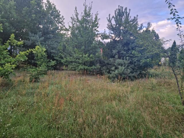 Działka budowlana Czarnów, ul. Piaskowa. Zdjęcie 3