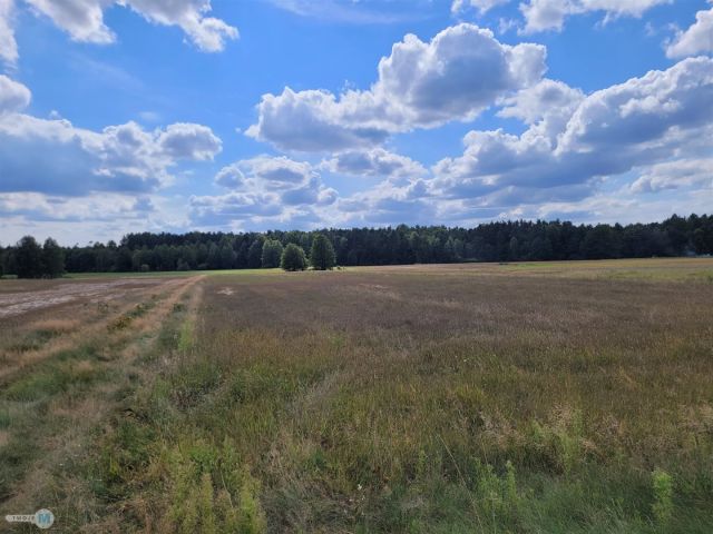 Działka rekreacyjna Kluczewsko. Zdjęcie 4