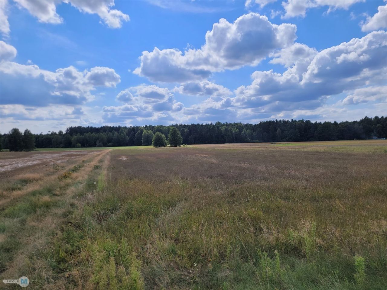 Działka rekreacyjna Kluczewsko. Zdjęcie 4