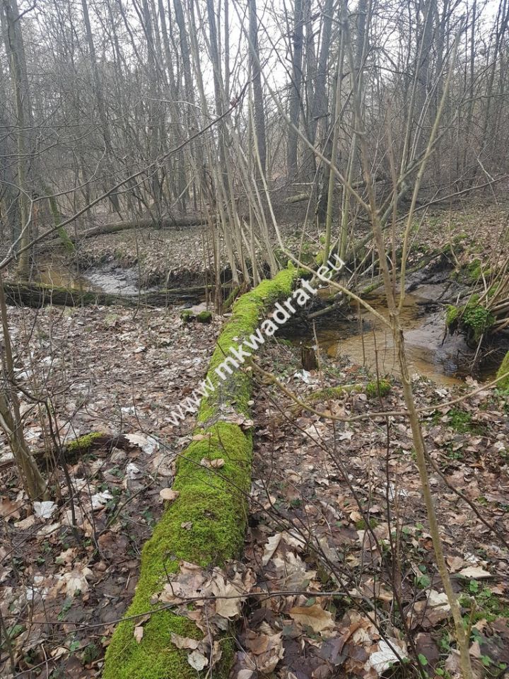 Działka budowlana Bieniewiec. Zdjęcie 4