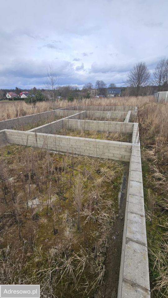 Działka budowlana Prawiedniki-Kolonia. Zdjęcie 5