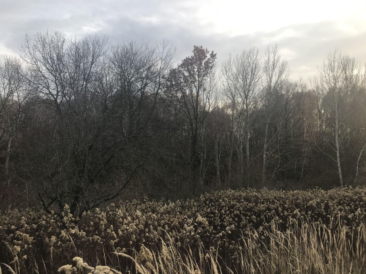 Działka budowlana Stary Pożóg. Zdjęcie 7