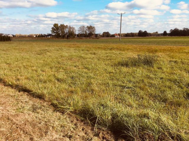 Działka budowlana Stary Dybów. Zdjęcie 1