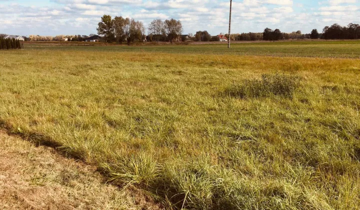 Działka budowlana Stary Dybów