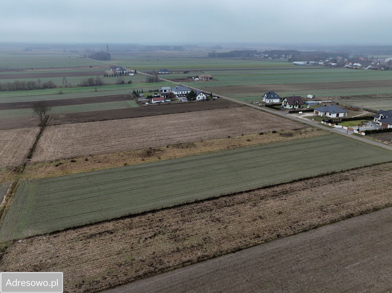 Działka rolno-budowlana Zalesie. Zdjęcie 11