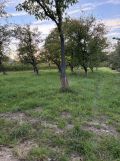 Działka rolno-budowlana Łańcut Grabskie, ul. Władysława Grabskiego. Zdjęcie 4