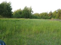 Działka budowlana Dębianki. Zdjęcie 1