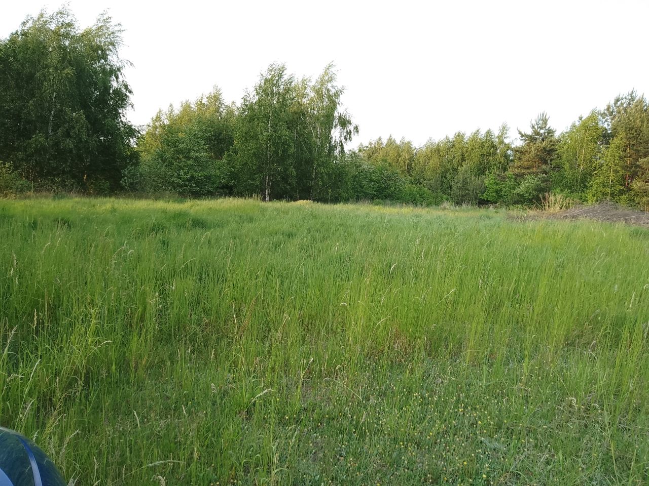 Działka budowlana Dębianki. Zdjęcie 2