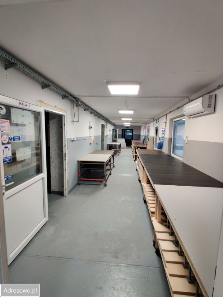 Hala/magazyn Miłoszyce, ul. Czereśniowa. Zdjęcie 17