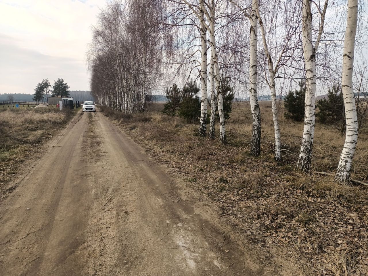 Działka budowlana Wierzyce. Zdjęcie 7