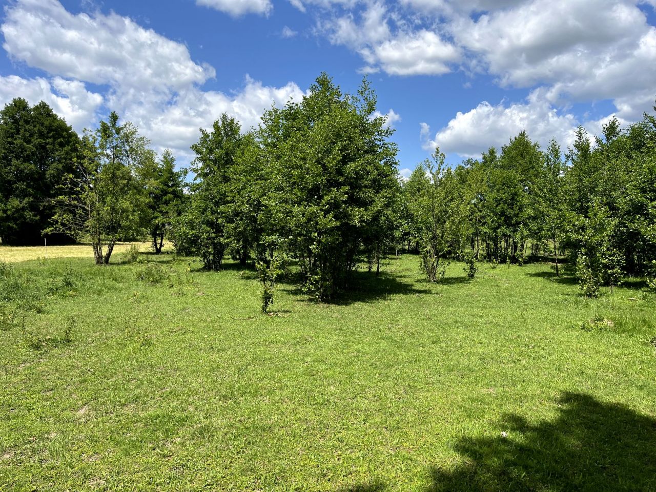 Działka rolno-budowlana Trzebuska. Zdjęcie 10