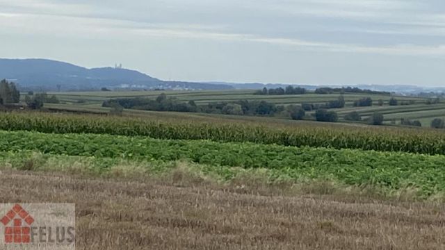 Działka rolna Czułówek. Zdjęcie 12