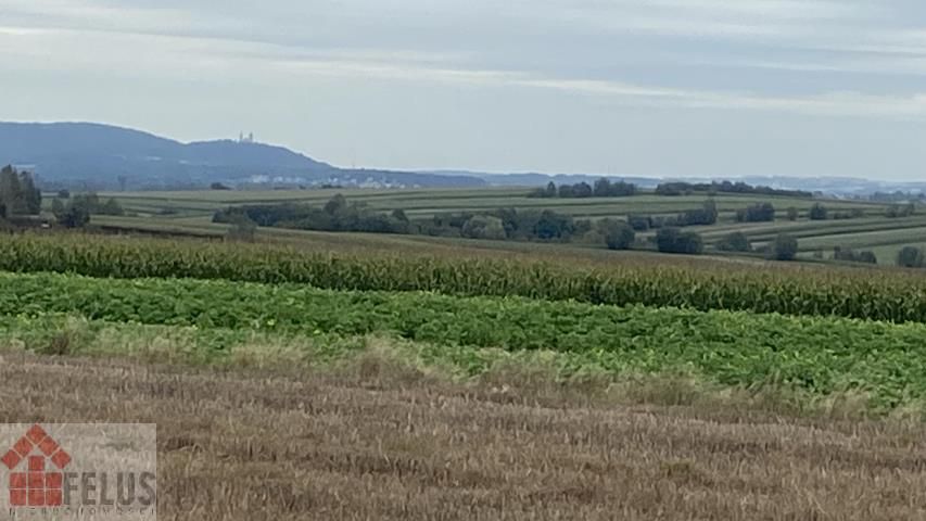 Działka rolna Czułówek. Zdjęcie 12