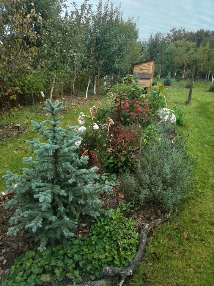 dom wolnostojący, 3 pokoje Drwalew, ul. Słoneczna. Zdjęcie 15