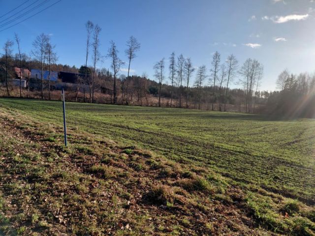 Działka budowlana Szydlice. Zdjęcie 1