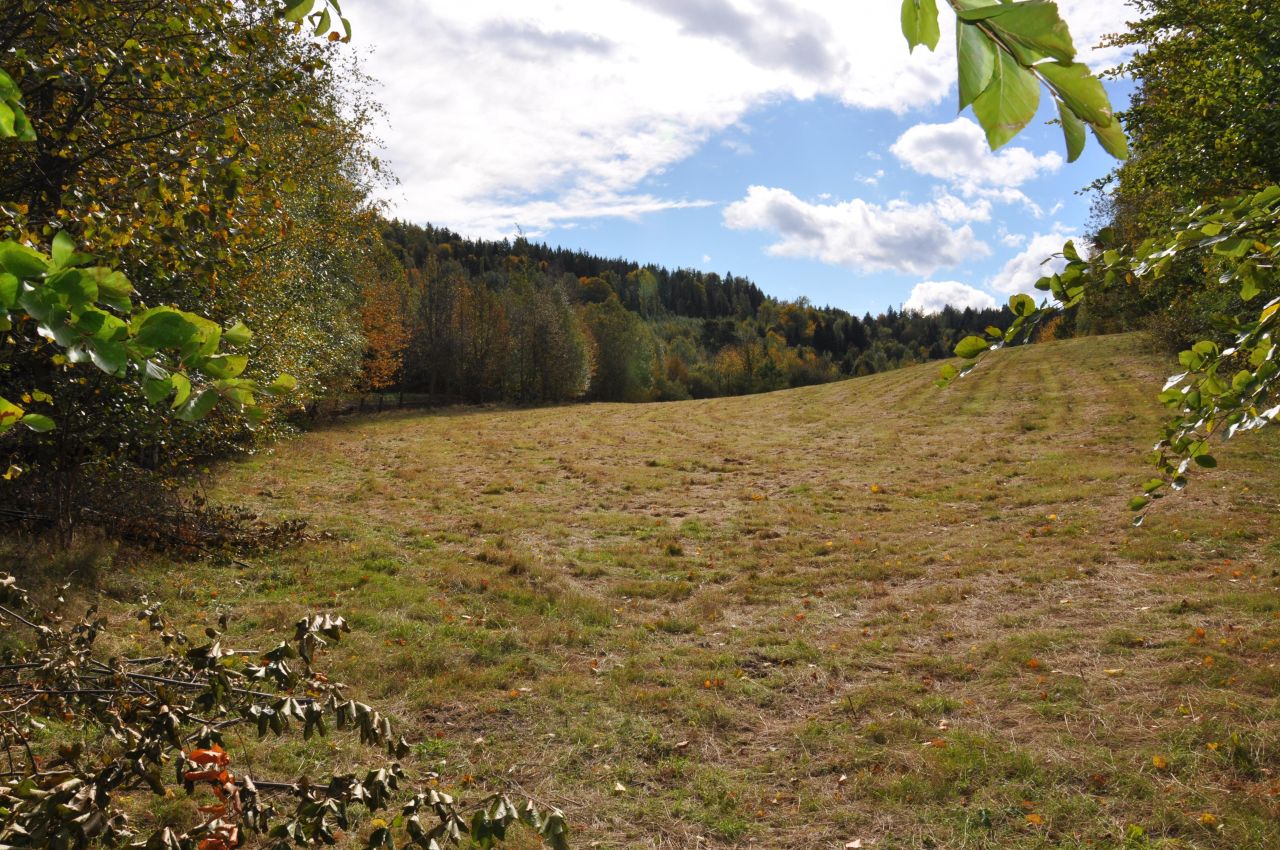 Działka budowlana Gruszków. Zdjęcie 3