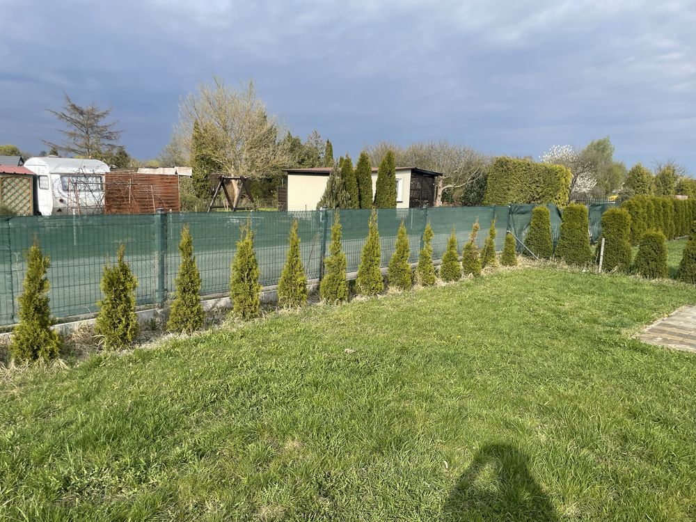 Działka rod Szubin. Zdjęcie 5