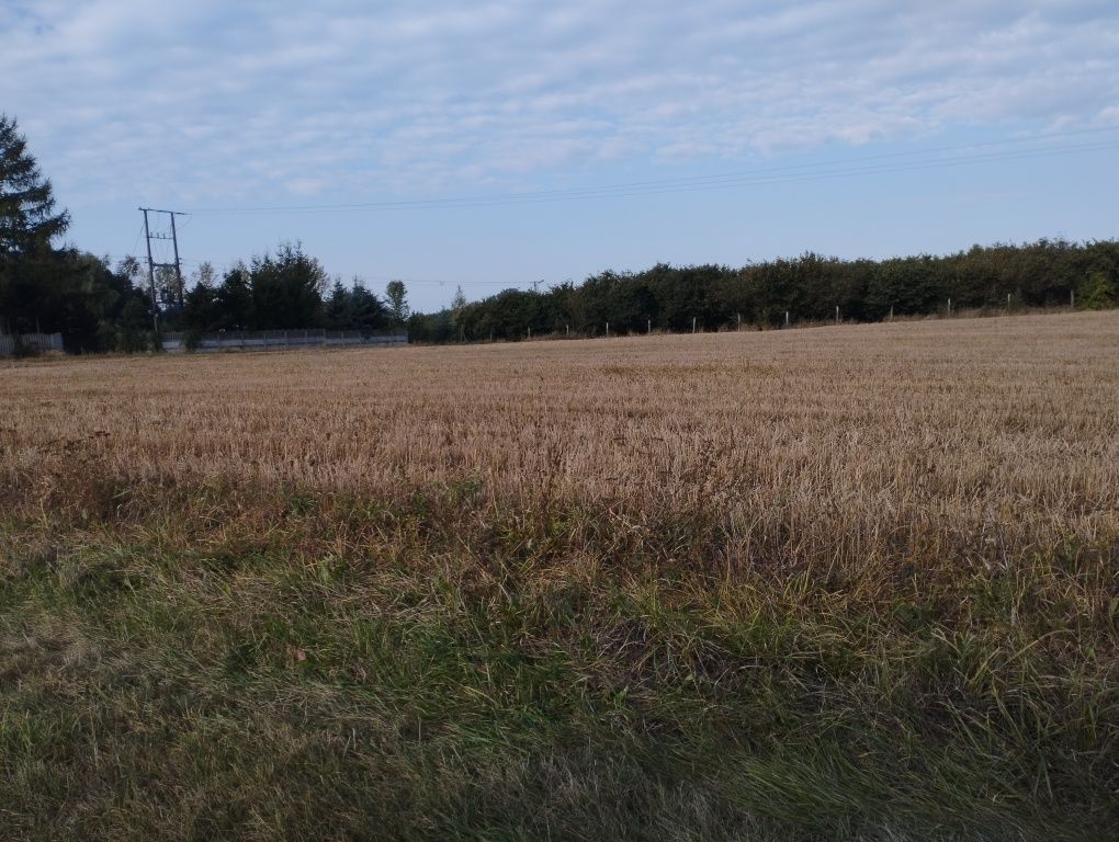 Działka rolno-budowlana Gotówka. Zdjęcie 3