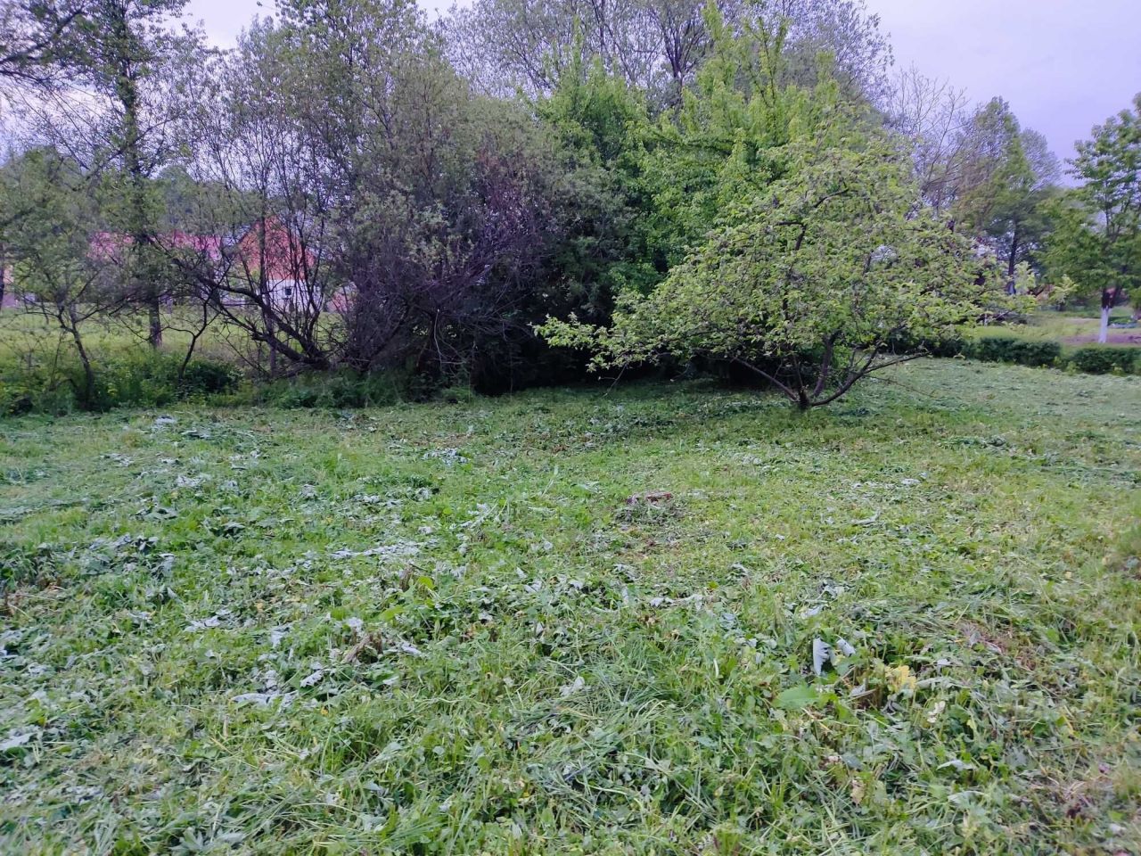 gospodarstwo, 3 pokoje Wara. Zdjęcie 2