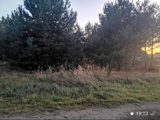 Działka budowlana Masłów, Sosnowa. Zdjęcie 1