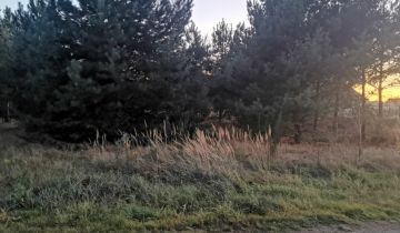 Działka budowlana Masłów, Sosnowa