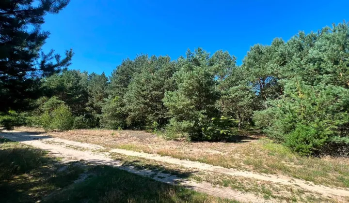 Działka budowlana Władysławów