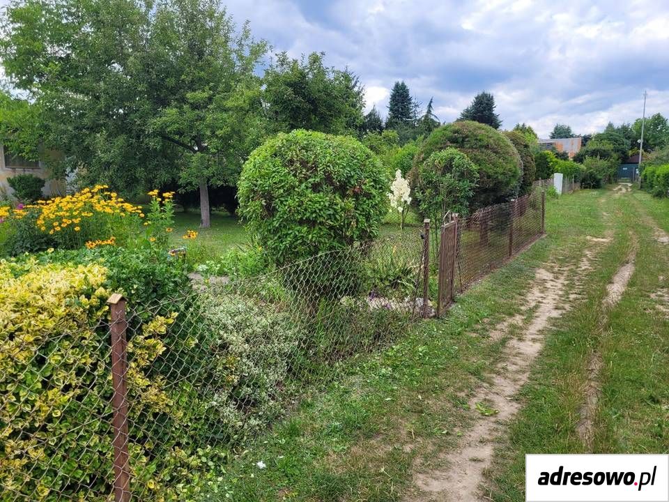 Działka rod Lubin Przylesie. Zdjęcie 6