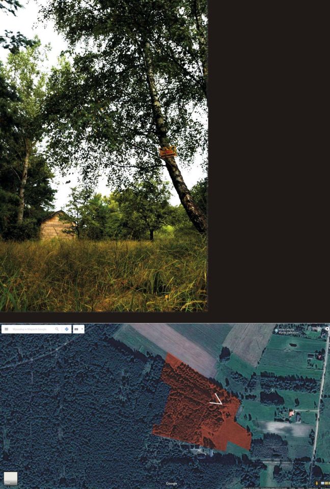 Działka leśna Turna Duża. Zdjęcie 37