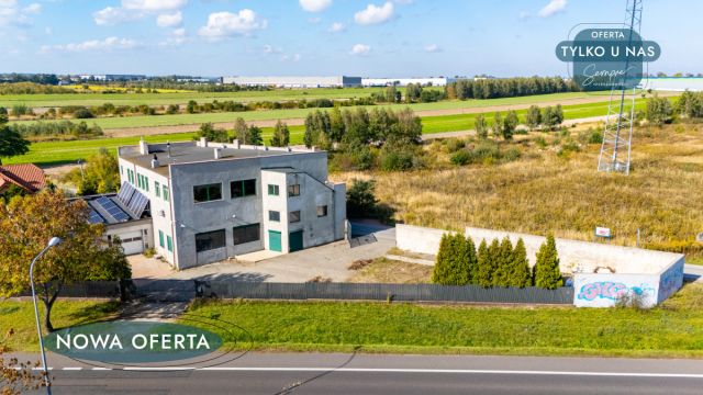 Lokal Orzechówek. Zdjęcie 8