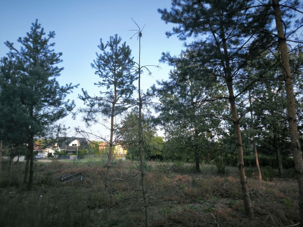 Działka budowlana Juliszew. Zdjęcie 5