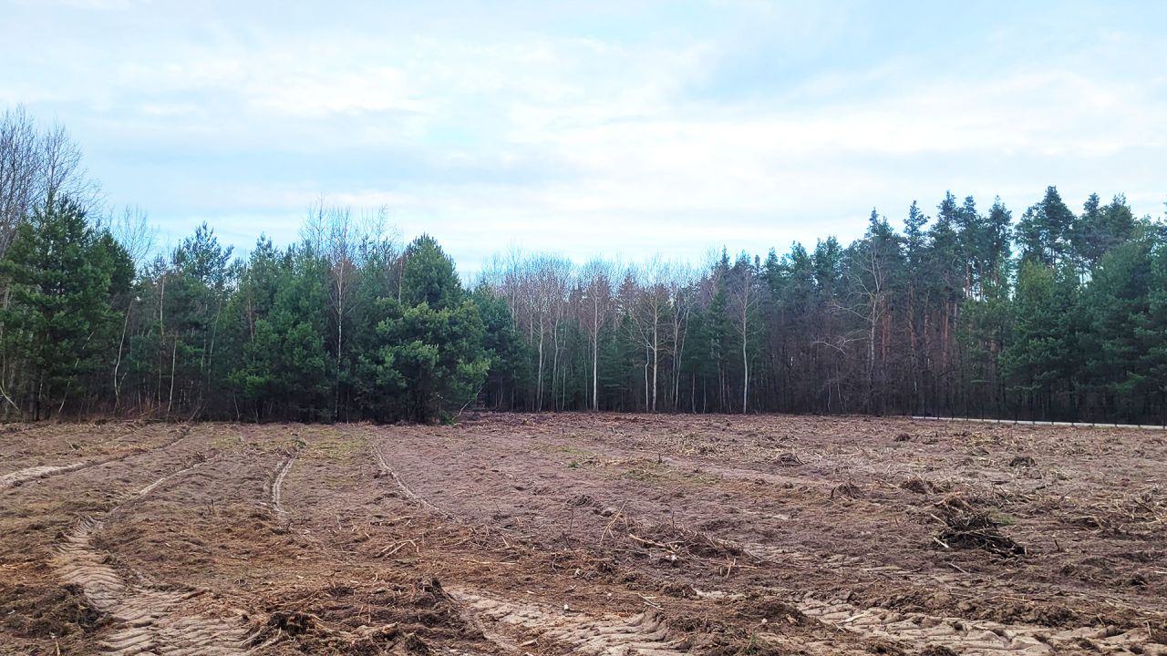 Działka budowlana Piskórka, ul. Akacjowa. Zdjęcie 2