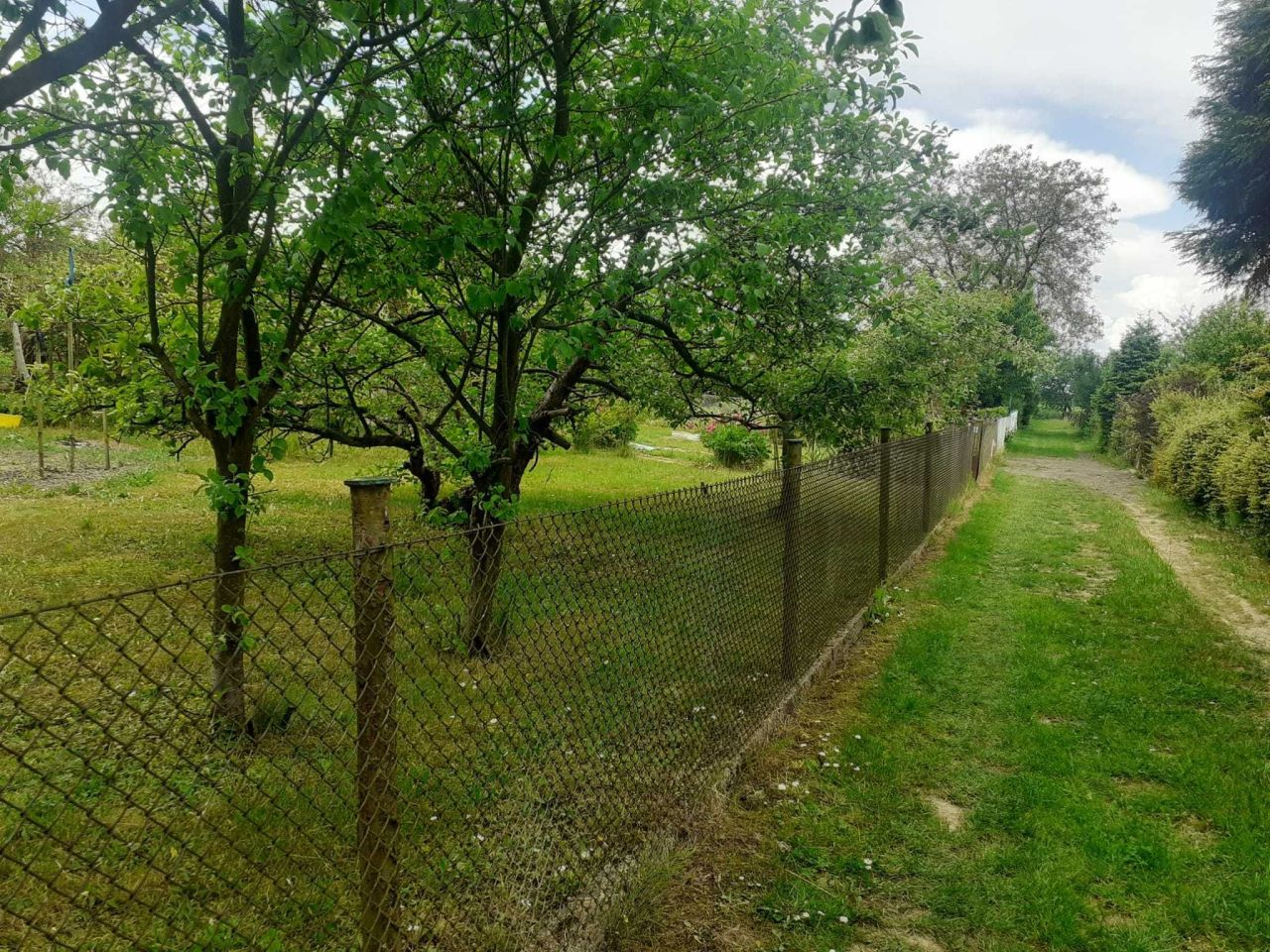 Działka rod Gliwice Stare Gliwice, ul. Kozielska. Zdjęcie 4