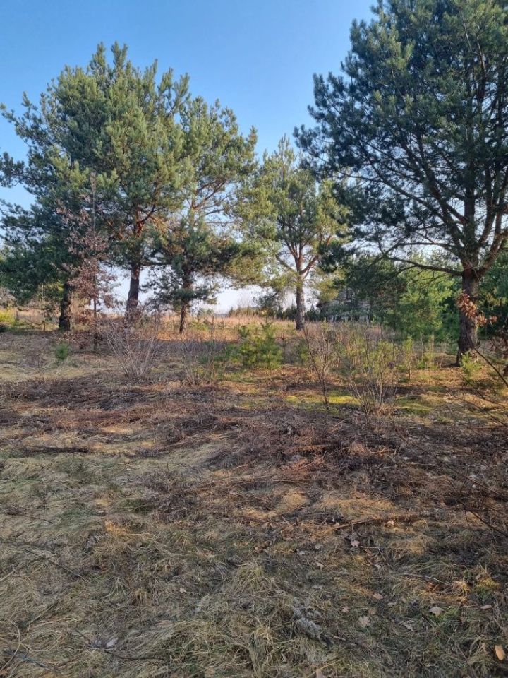 Działka budowlana Tołcze. Zdjęcie 3