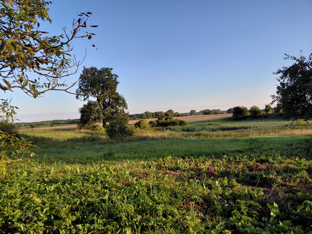 dom wolnostojący Kąpiel. Zdjęcie 4