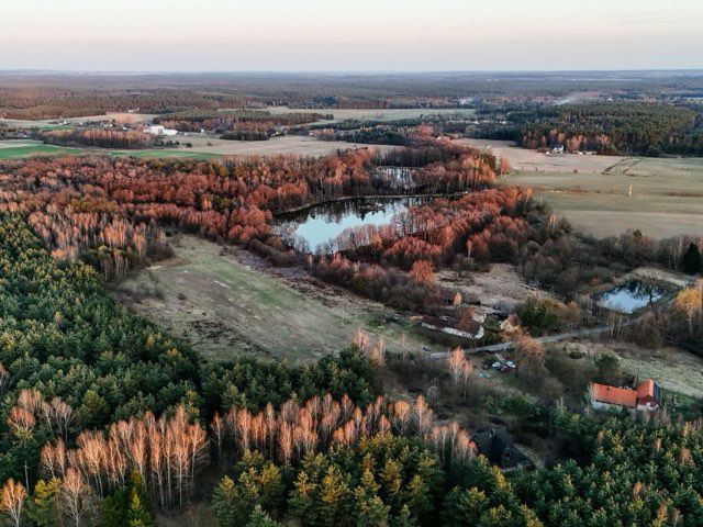 Działka budowlana Drogoszowice. Zdjęcie 2